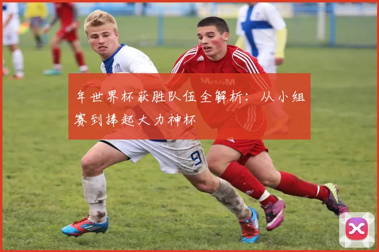 年世界杯获胜队伍全解析:从小组赛到捧起大力神杯