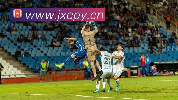 星空软件官网服务体系